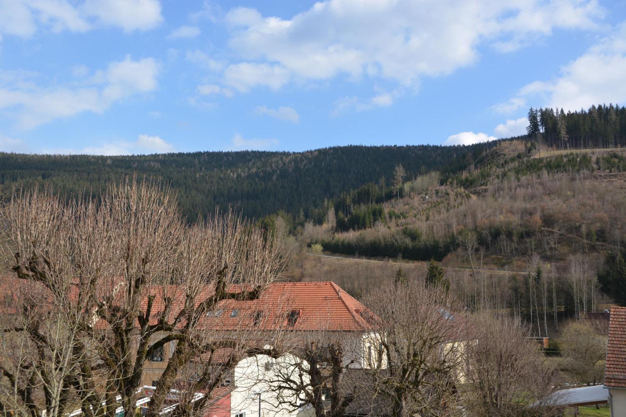 Kronenwirt Gurk Exterior photo