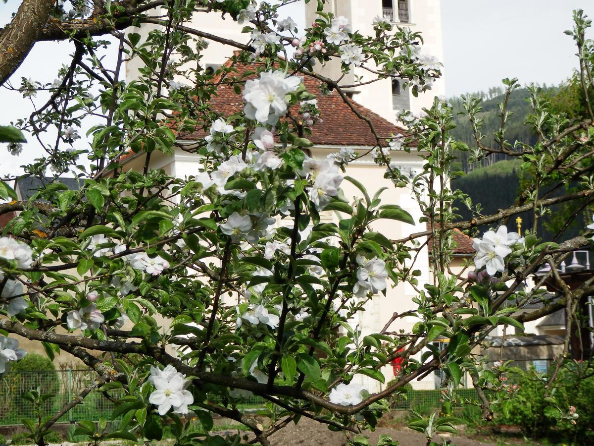 Kronenwirt Gurk Exterior photo